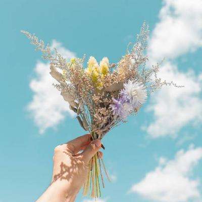 28网站下载手机版